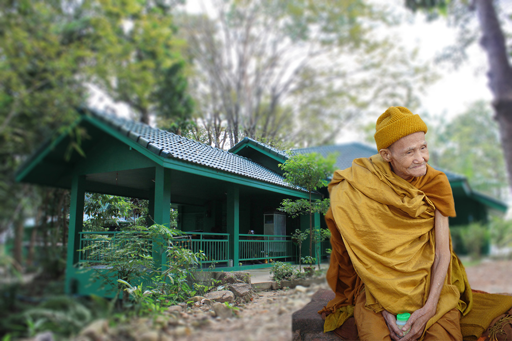 หลวงปู่พิศดูหลังสีเขียวกลับข้าง.jpg