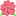 1f33a-png.png