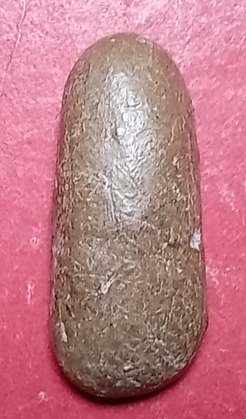 20260308_220050.jpg