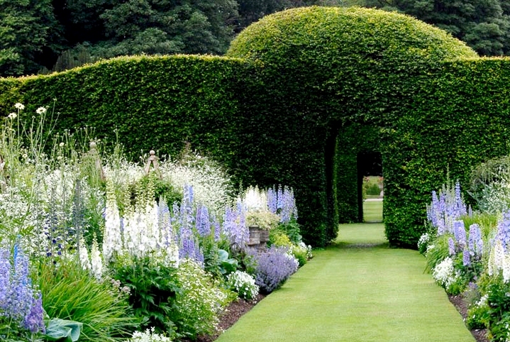 blue-and-white-garden-design-ideas-12.jpg
