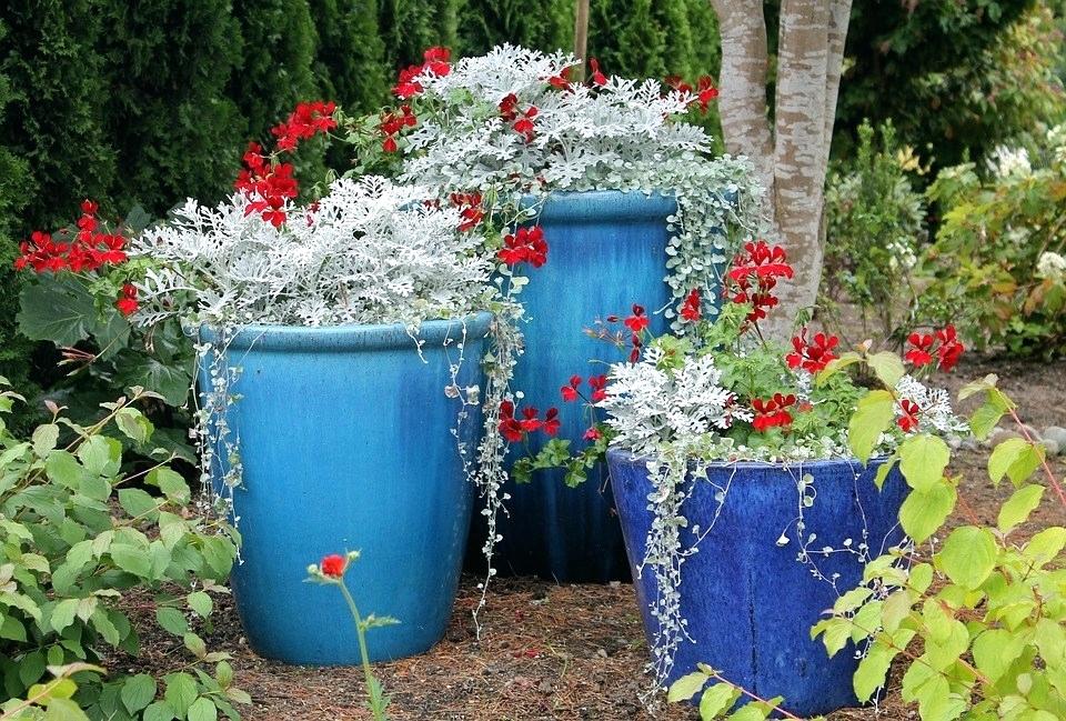 blue-flower-pots-flower-pots-garden-spring-flowers-flowers-blue-blue-floral-vase-lamp.jpg