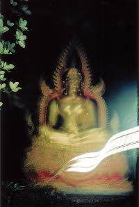 buddha02.jpg
