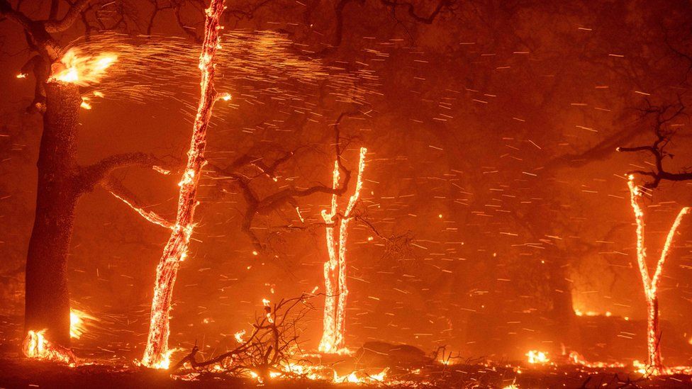 california-wildfires.jpg