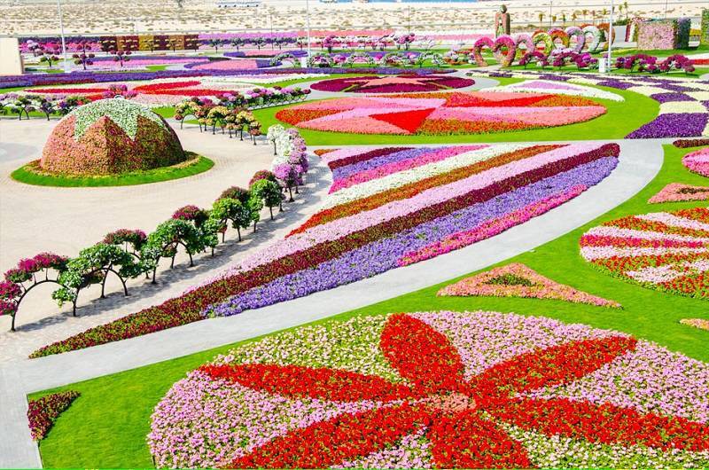 gardens-around-the-world-dubai-miracle-garden.jpg