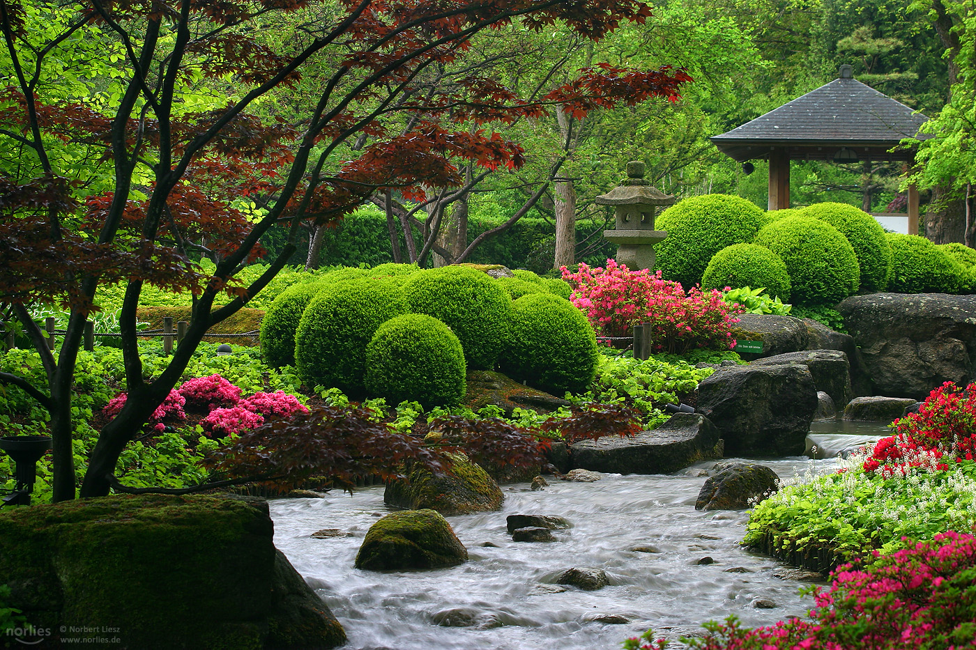 japanese-garden-germany_l.jpeg
