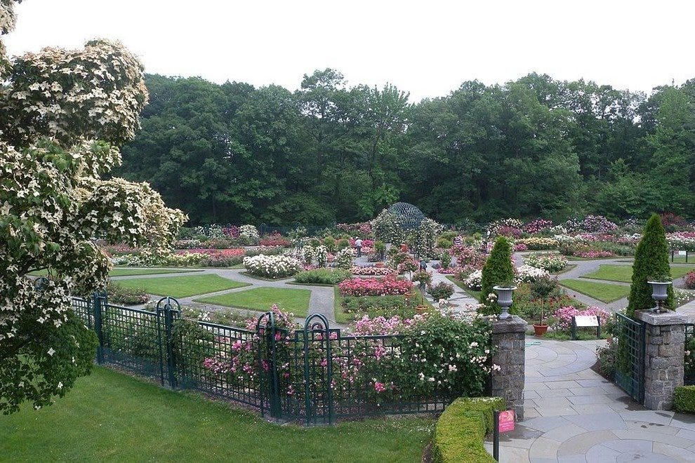 p-Rose-Garden_.jpg