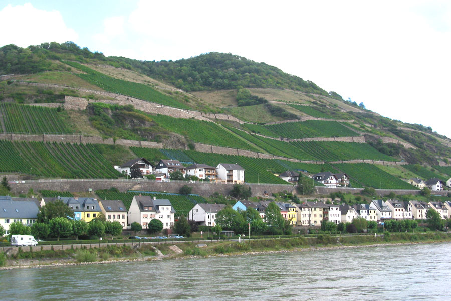 rhine-village-bm0696-900.jpg