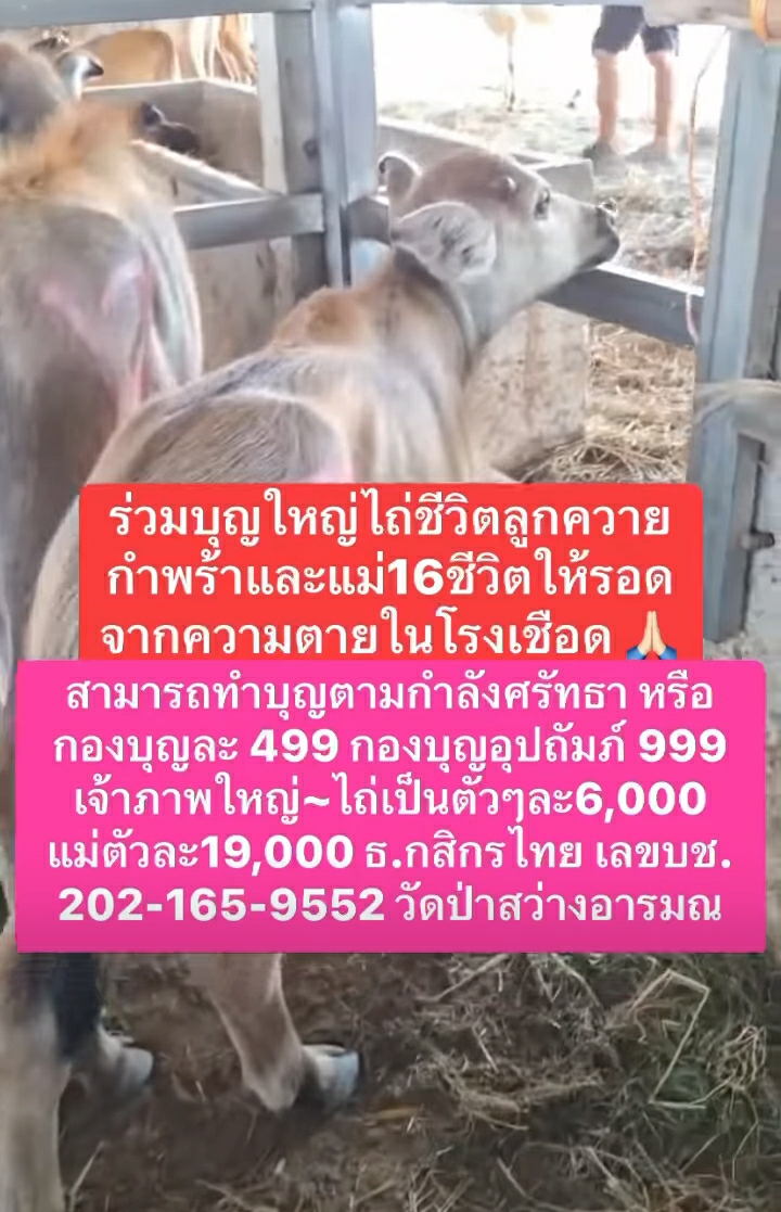 Screenshot_20250510-184250_Facebook.jpg