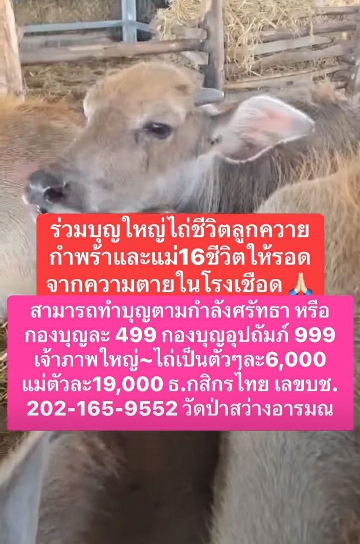 Screenshot_20250510-184357_Facebook.jpg